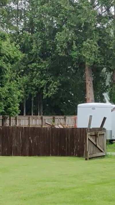 Finally caught some heavy rain