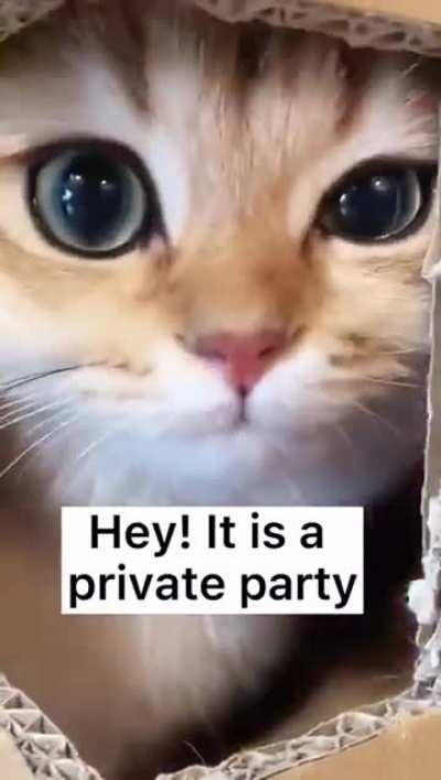 Hooman not Allowed!!!