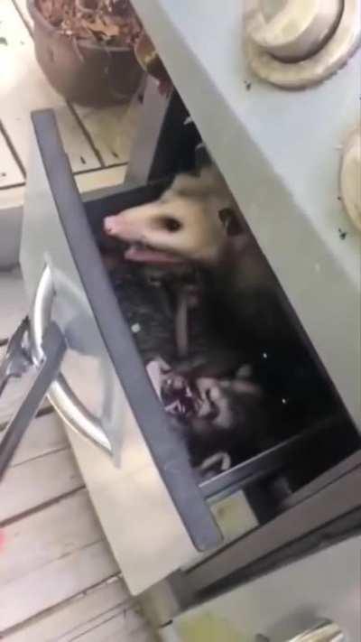 What a great time to do BBQ