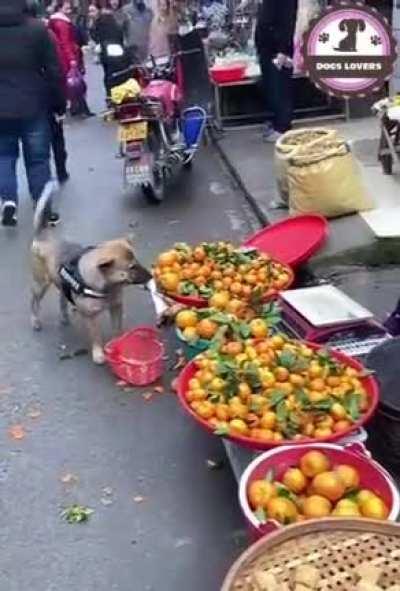 Клиент всегда прав