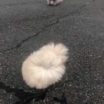 Which friend are you ?