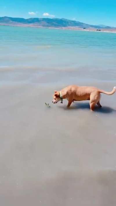 Пердечный приступ)