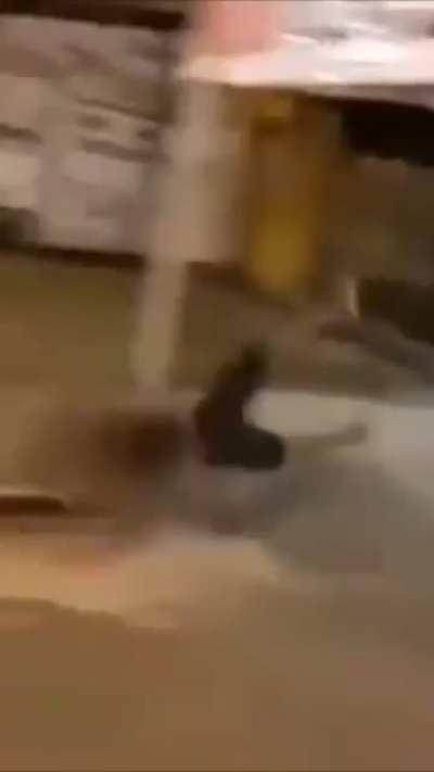 Gravidade inexistente 