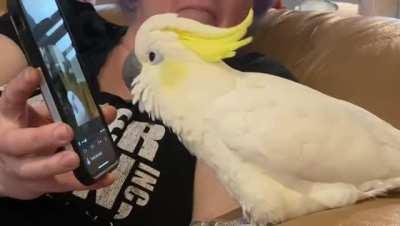 Since this is all the rage I had to see what she would do. Haven’t even had Carmi a week & im already in love with her.