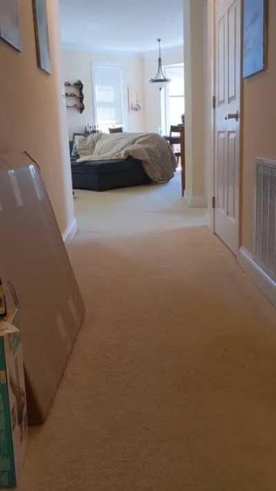 Gives me cartoon vibes