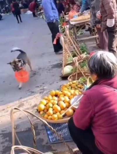 i am less than a dog