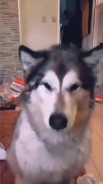 The things you do for food