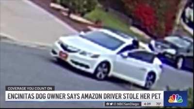 Amazon delivery driver steals dog from home she delivered a package too.