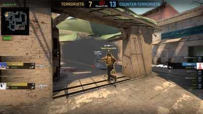 Wild from start to end