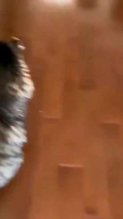 Do Re Mi Fa So La Ti