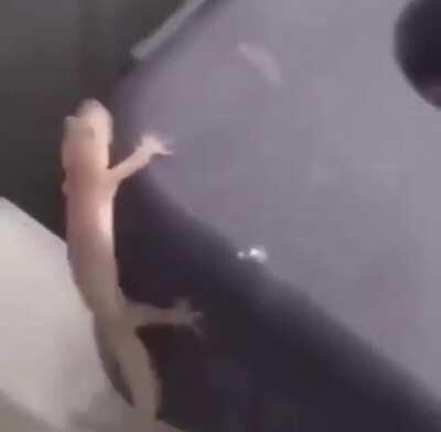 Holding onto the rocket like...