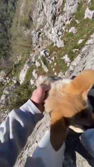 Guy Pulls Czechoslovakian Wolfdog up as They Enjoy a Mountain Walk