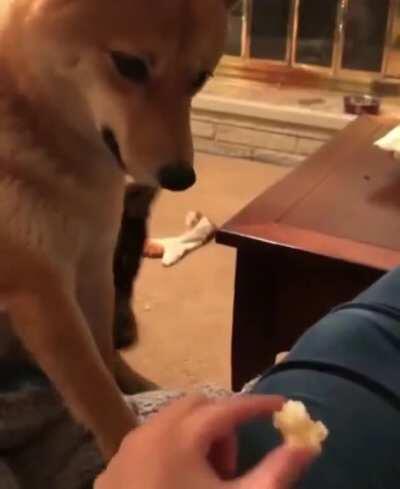 He had never seen such bullshit