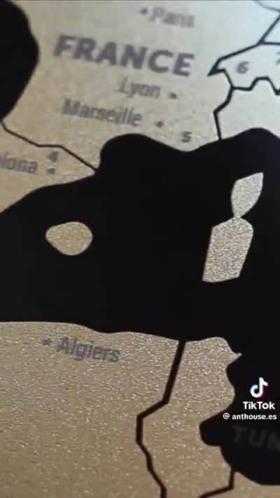 Hormigas argentinas capitulo 1: 