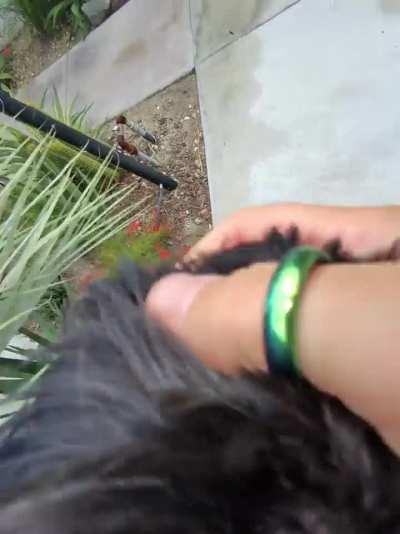 POV: you’ve just come home 💛