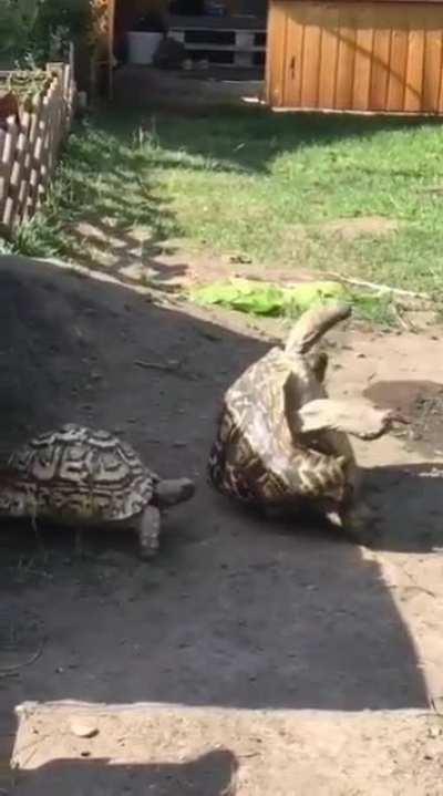 WoT without any context