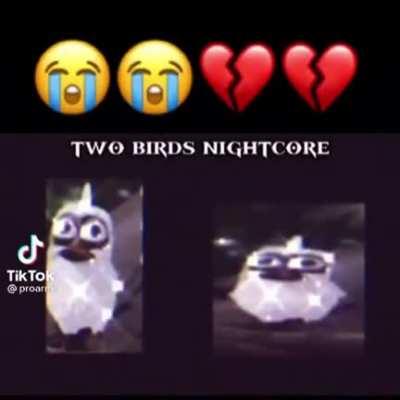 Two birds nightcore 😭😭💔💔