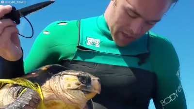 Animal Rescues at Sea | 4