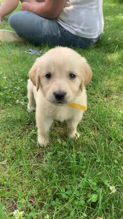 Name suggestions for our girl?