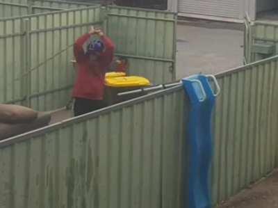 The making of Karate