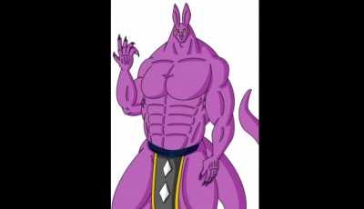 Why would beerus interrupt their fight like that