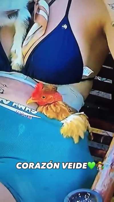 Pero Crucita y la gallina 😊