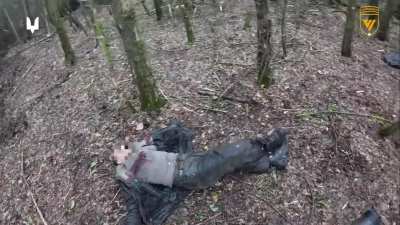 Ukrainian Rangers of the 6th Special Purpose Regiment successfully took a small settlement in the Kursk region (Russia) and eliminated Russian and North Korean soldiers. December 2024.