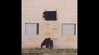 I have a feeling this joke has been done to death, but I made it anyways