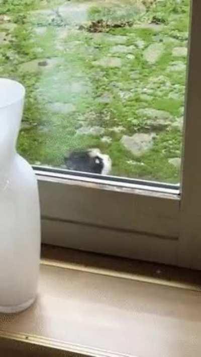 When you get caught staring at someone.