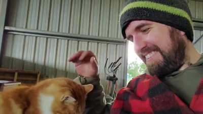 Just your frienly local barn cat asking for pets.
