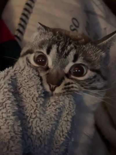 His look says he won't let go of the blanket