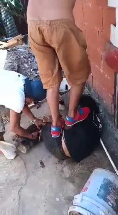 Santa Marta esparza este mae asalto una muchacha de colegio y el padre busco a la rata y ahí los resultados.