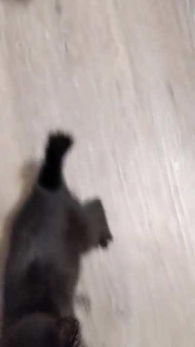 Breakfast time is a noisy affair in our house