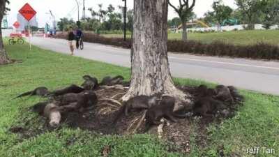 🔥 what are we doing 🔥