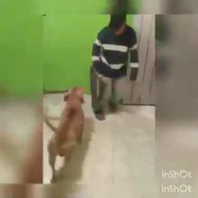 Ꮴₓ₇࿐㍍ 👹