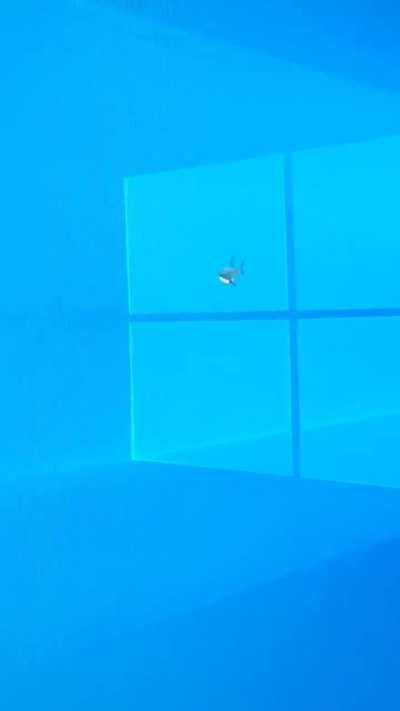 Made Blåhaj into a mouse cursor 