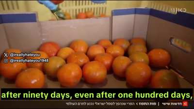 Israel's citrus industry is facing crisis on multiple fronts. Boycotts have caused traditional markets in Asia and Europe to collapse. The Houthis have caused logistical nightmares. Russia however remains a steady customer.