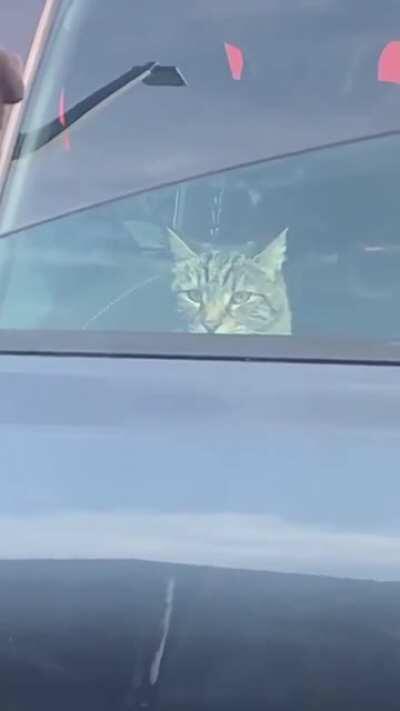 Abort. I've been made.