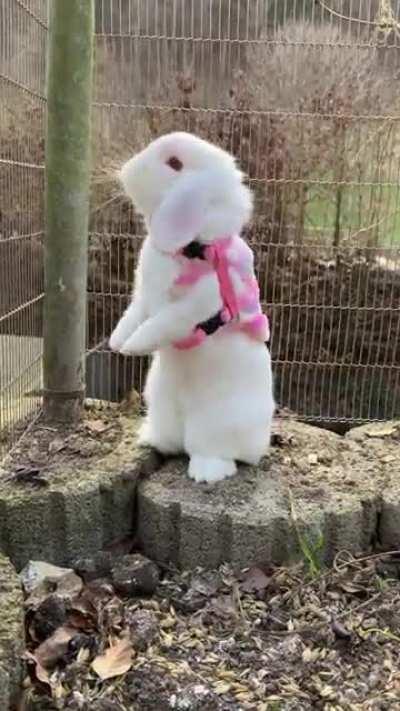 I gave her kisses and my lipstick stained her face