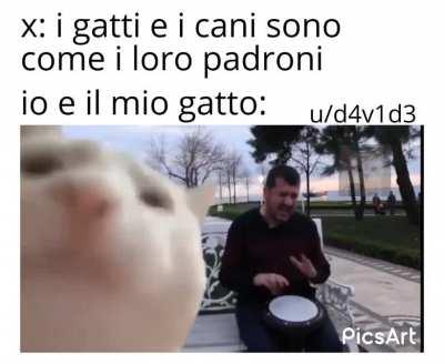 memesITA - Video #0263