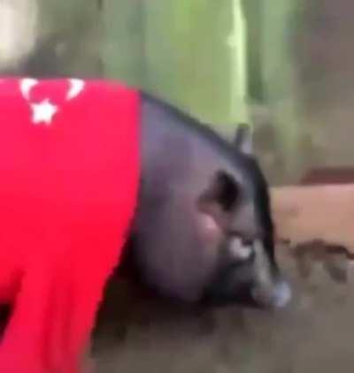 Rdağan - Famoust *rmenian words