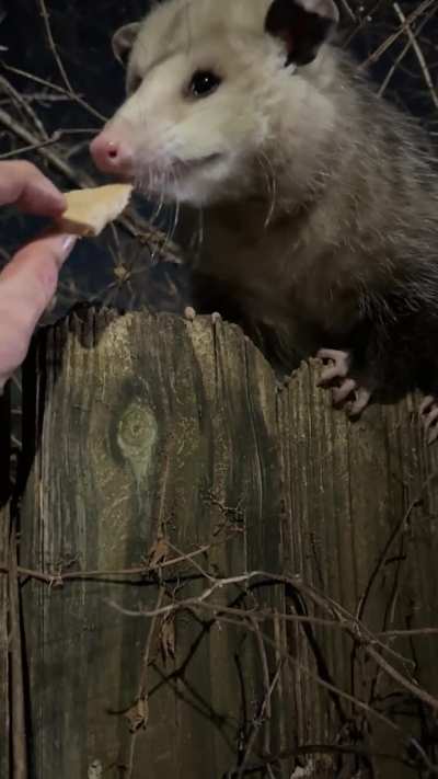 Apparently my buddy Parker has a kid.