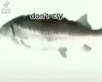 Don't Cry Up Vote this if you like it ty