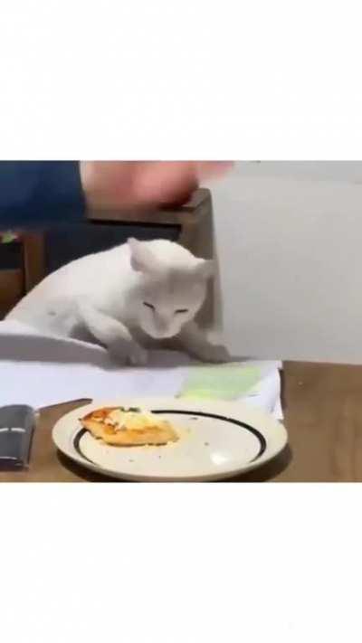 to steal the food