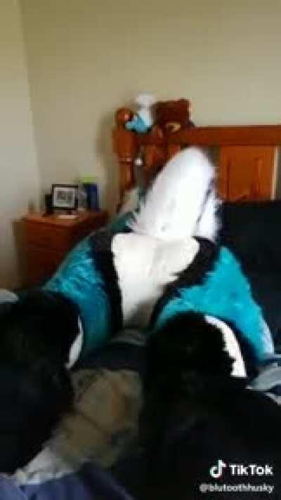 Some good old furry cringe