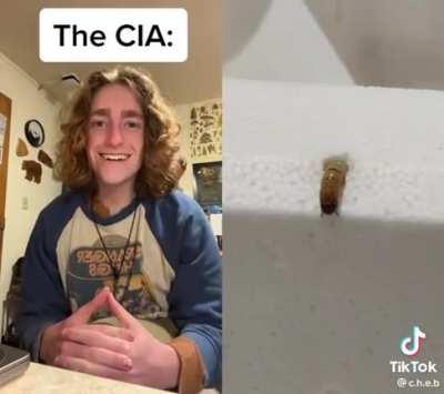 allow us to introduce ourselves