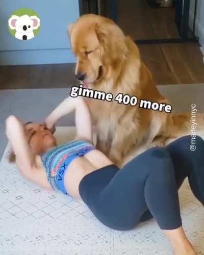 Personal trainer
