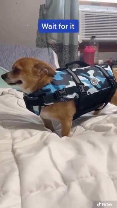 Life or Death Jacket?