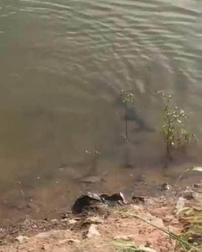 It ain’t over till it’s over