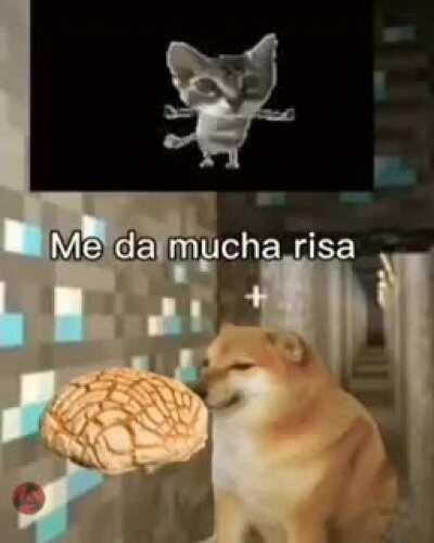 Hasta pronto mi pana 👊😔